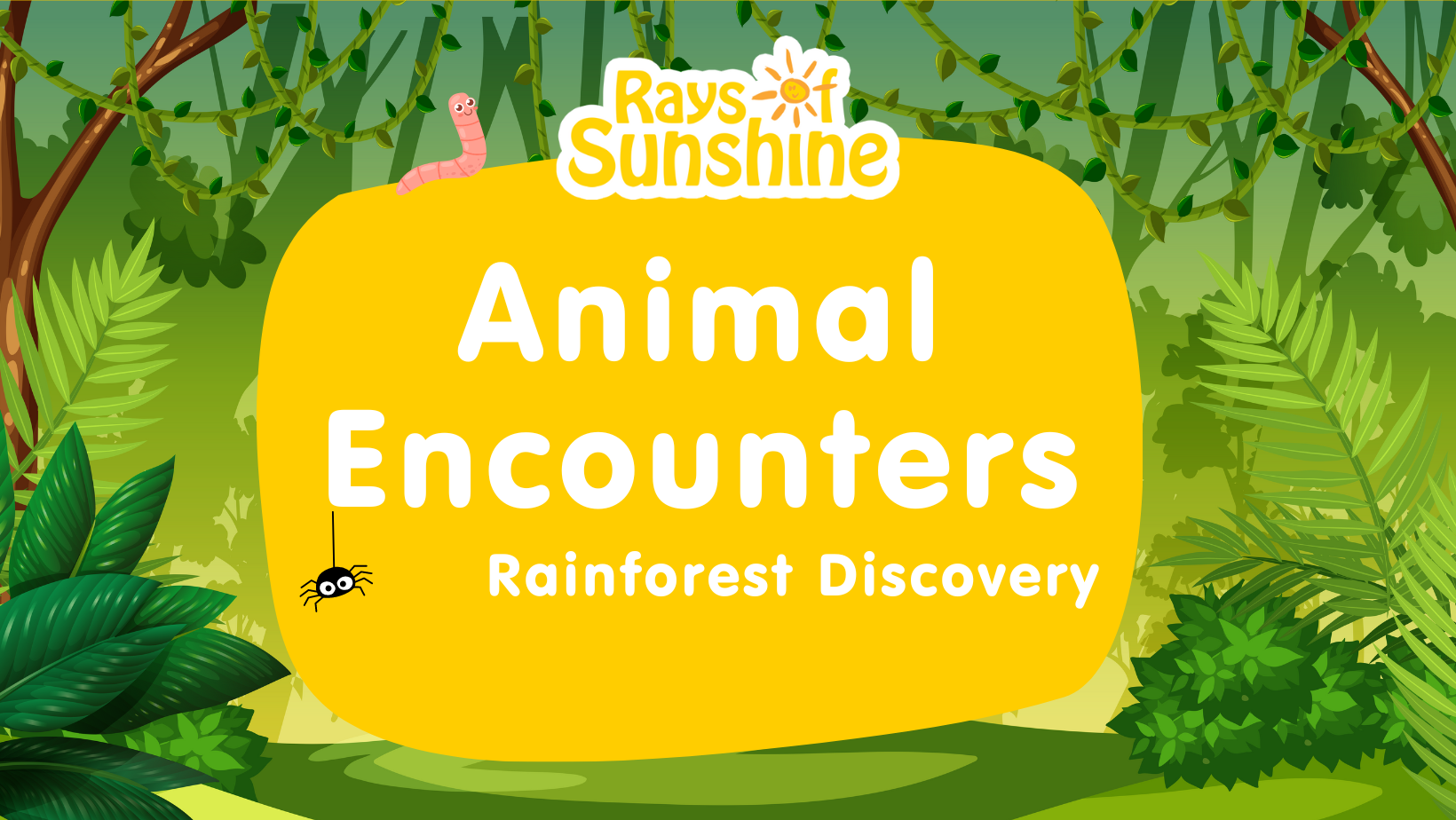 Animal Encounters ‘Rainforest Discovery’