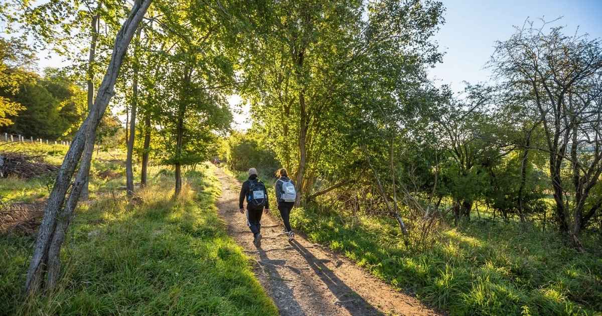 2 people wallking on path with trees surrounding